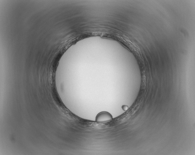 X0000115830379200912041653