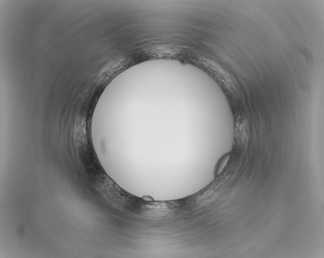 X0000115830381200912041653