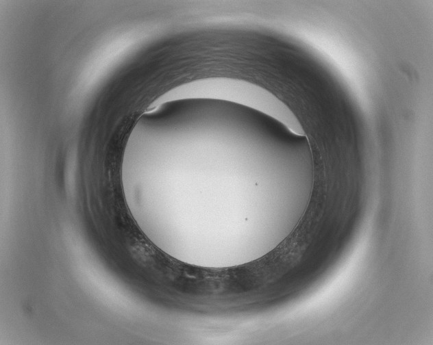 X0000115830382200912041653