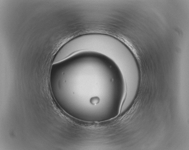 X0000115830385200912041652