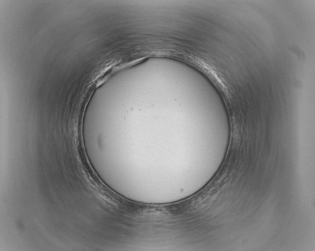 X0000115830386200912041652