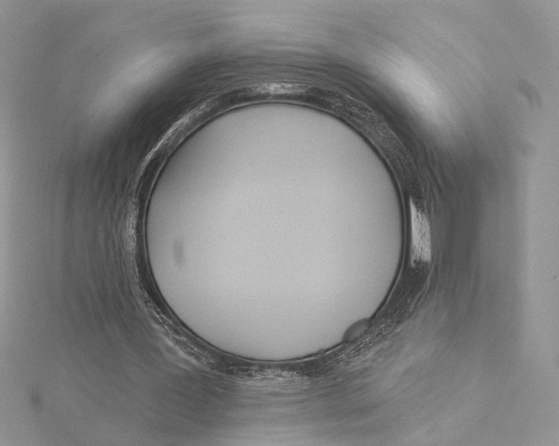 X0000115830387200912041652