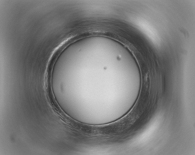 X0000115830388200912041652