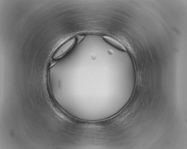 X0000115830389200912041652