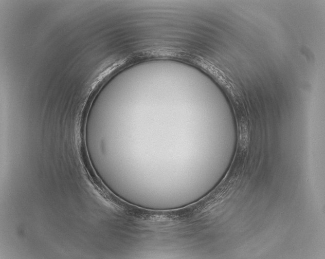 X0000115830390200912041652