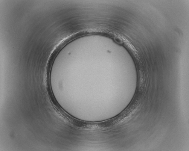 X0000115830391200912041652