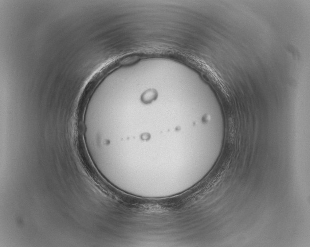 X0000115830392200912041652