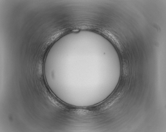 X0000115830393200912041652