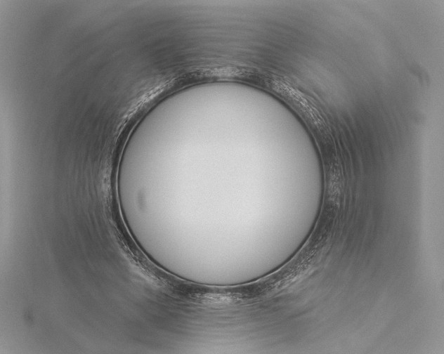 X0000115830394200912041652