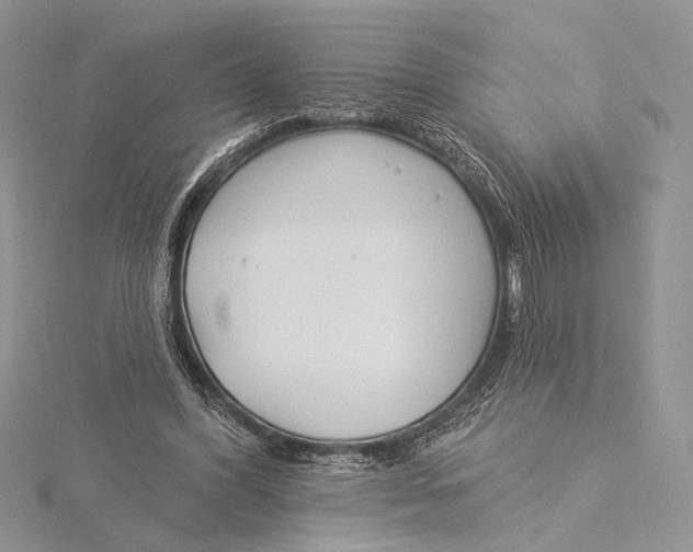 X0000115830396200912041652