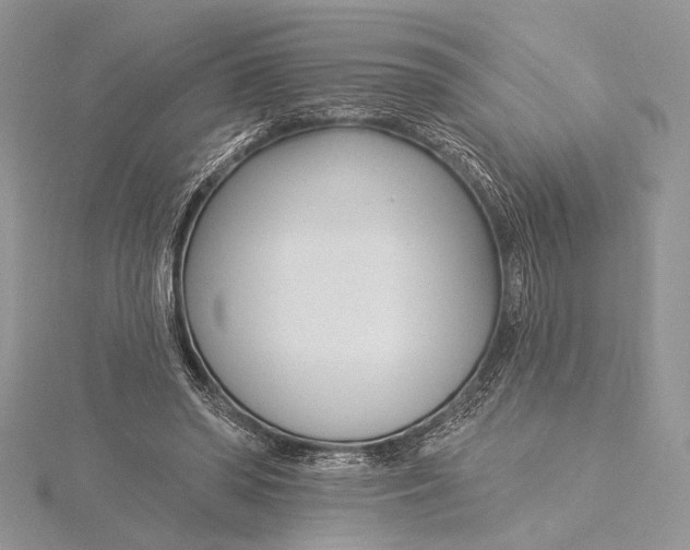 X0000115830398200912041652