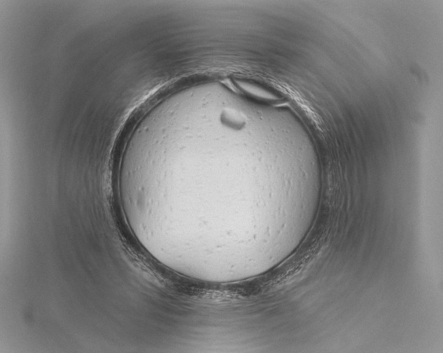 X0000115830399200912041652