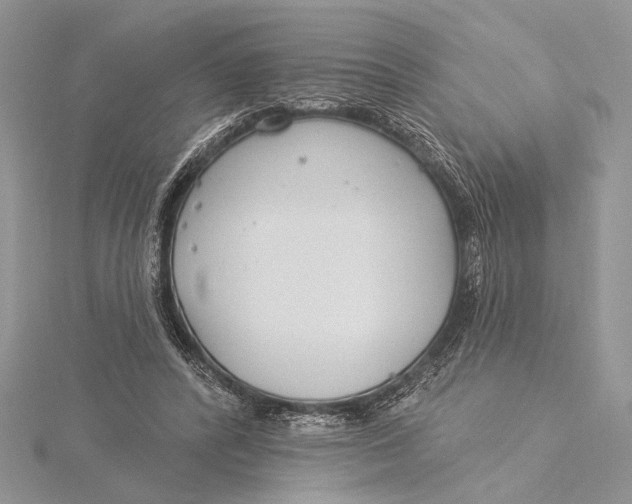 X0000115830400200912041652