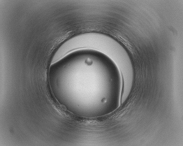 X0000115830401200912041652