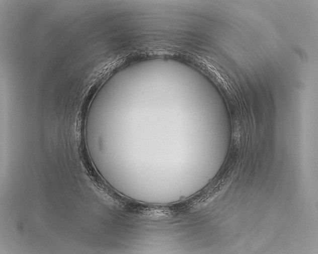 X0000115830402200912041652