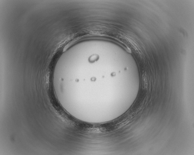 X0000115830404200912041652