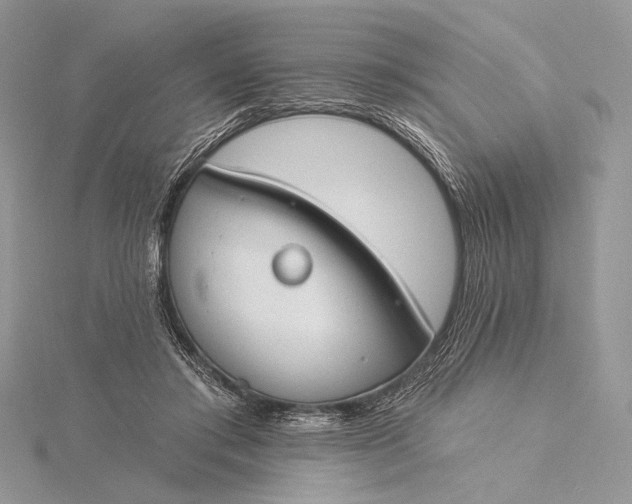 X0000115830405200912041652