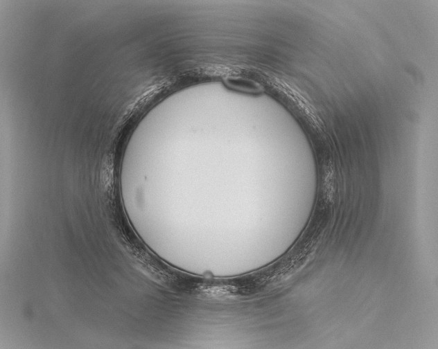 X0000115830407200912041652