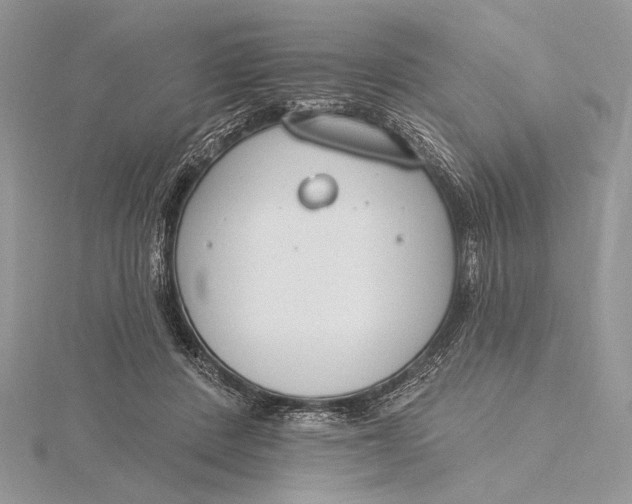 X0000115830408200912041652