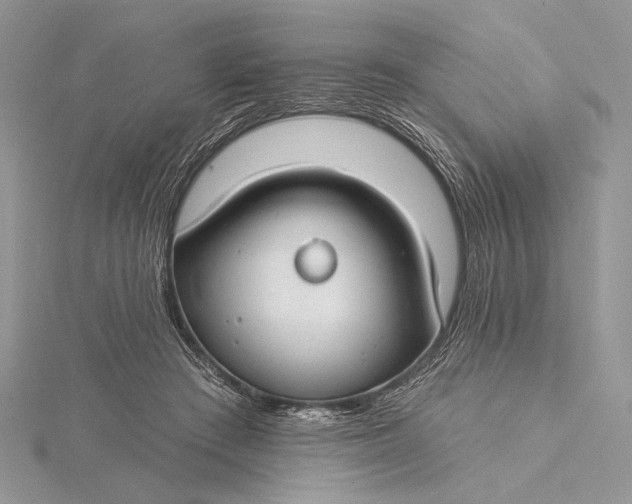 X0000115830409200912041652