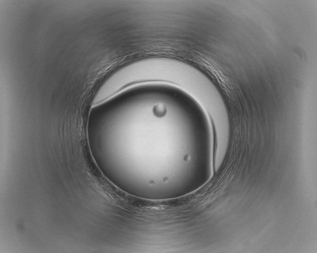 X0000115830411200912041652