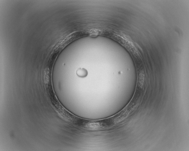 X0000115830413200912041652