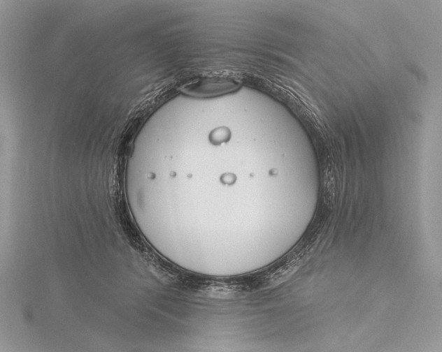 X0000115830416200912041652