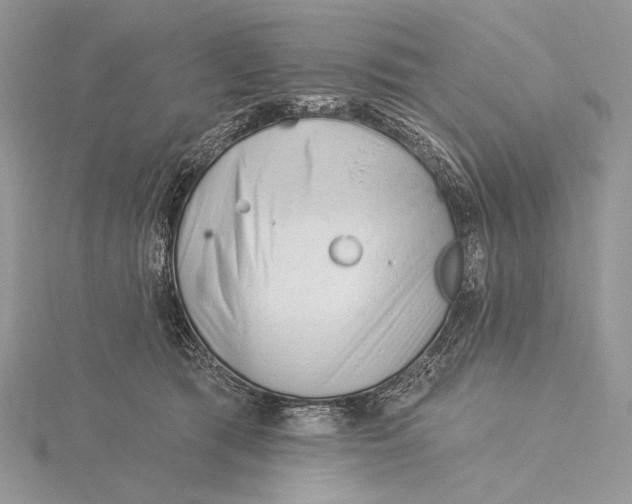 X0000115830417200912041652