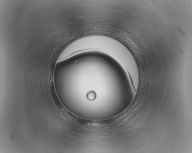 X0000115830419200912041652