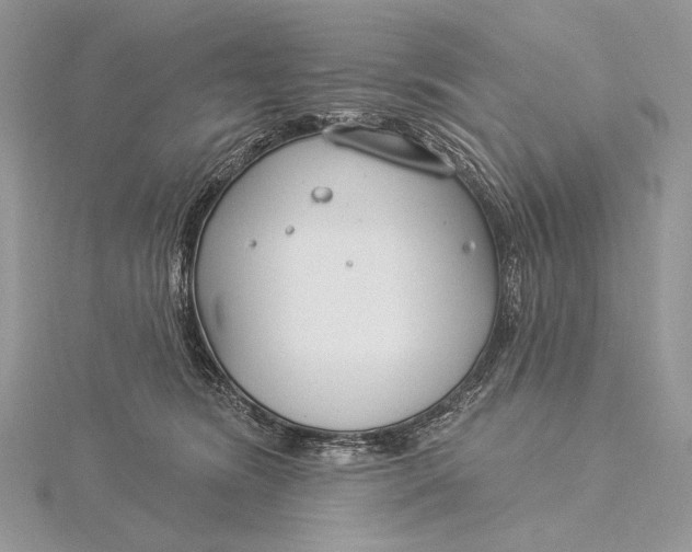 X0000115830420200912041652