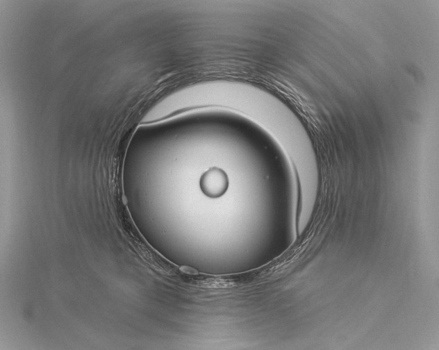 X0000115830421200912041652