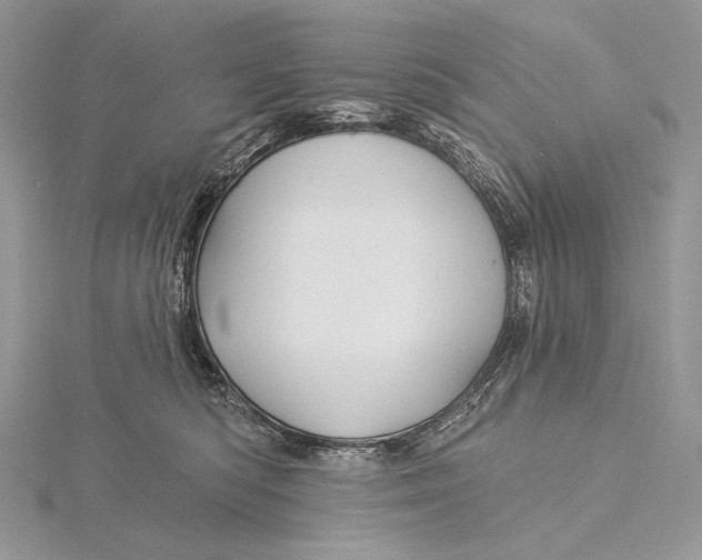 X0000115830422200912041652