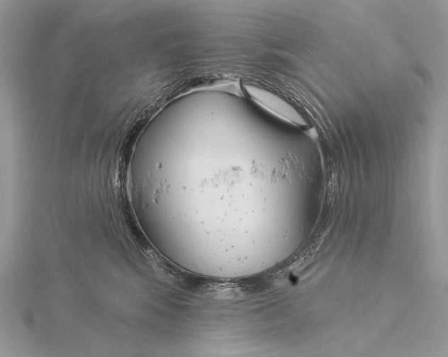 X0000115830424200912041652