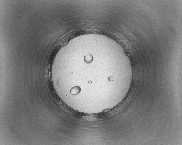 X0000115830425200912041652