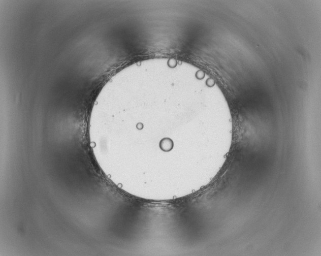 X0000115830427200912041652