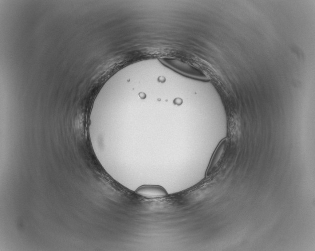 X0000115830428200912041652