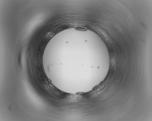 X0000115830429200912041652