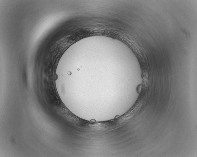 X0000115830430200912041652