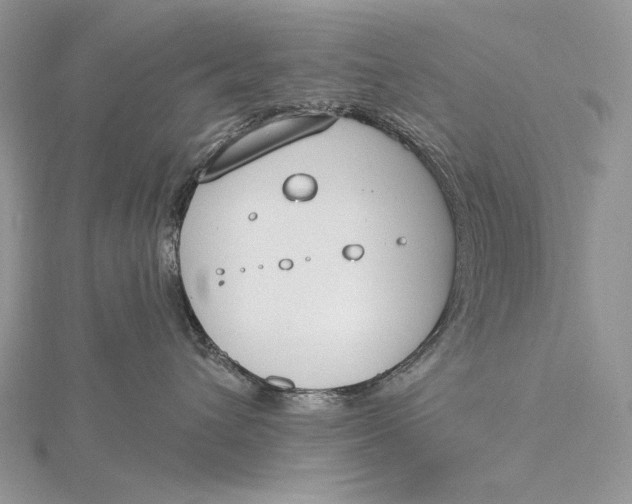 X0000115830432200912041651