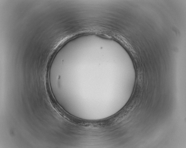 X0000115830434200912041651