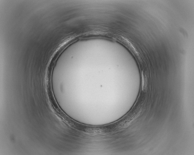 X0000115830435200912041651