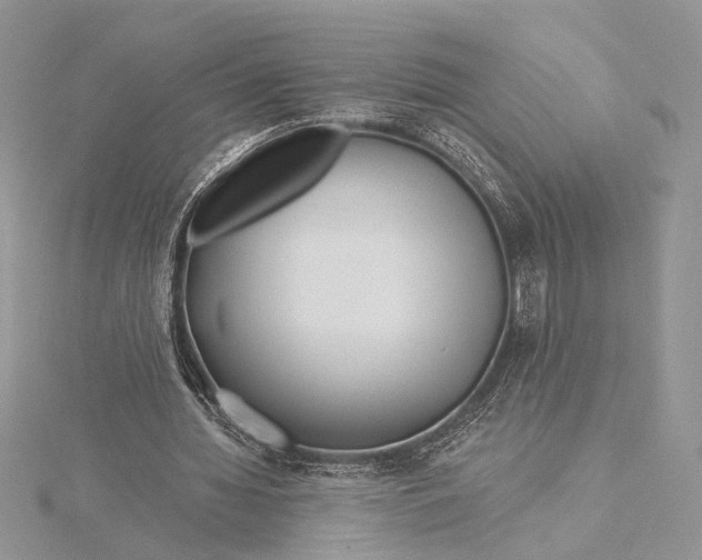 X0000115830436200912041651