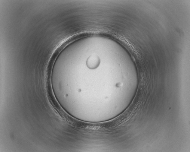 X0000115830440200912041651