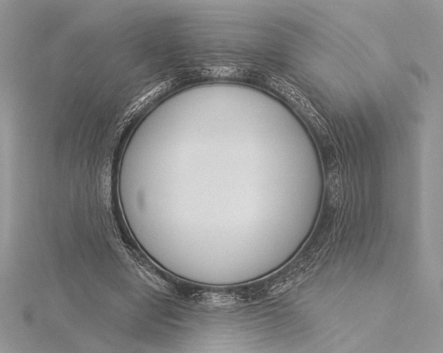 X0000115830442200912041651