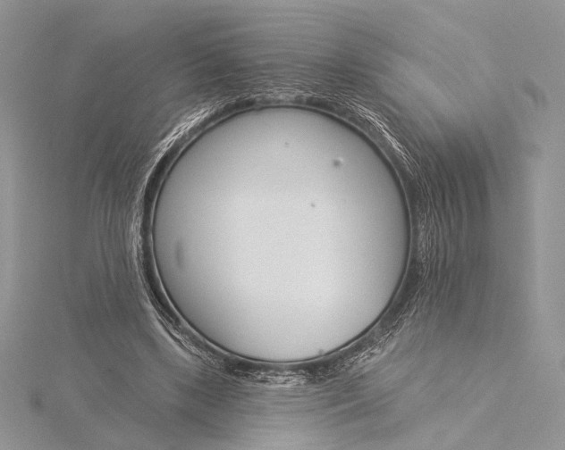 X0000115830443200912041651