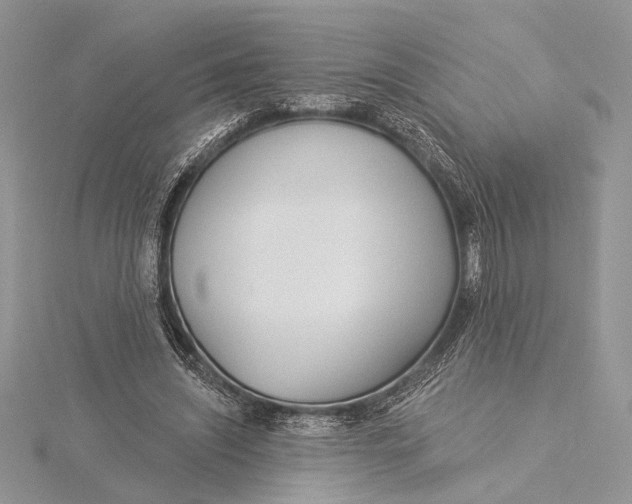 X0000115830444200912041651