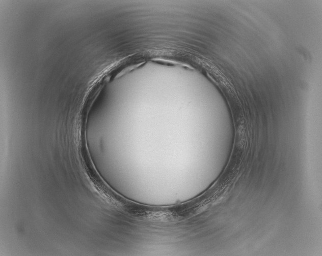 X0000115830446200912041651