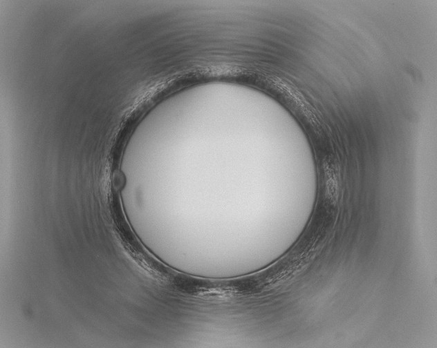 X0000115830447200912041651