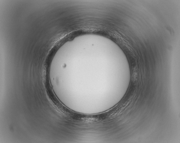 X0000115830448200912041651