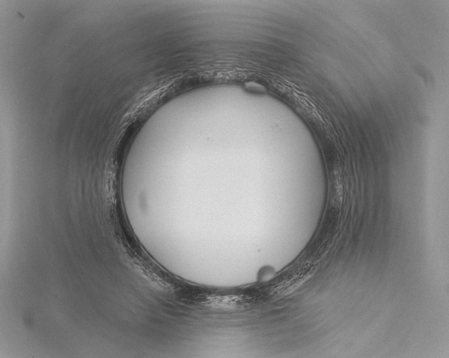 X0000115830450200912041651